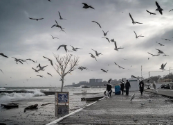 Синоптики предупредили о сложной погоде в Одессе