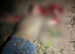 Одесситка попалась полиции на попытке заказать убийство родного брата