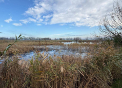 В Одесской области канализационные стоки спускают в природу, провоцируя эко-катастрофу