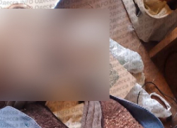 Мумифицированный труп женщины нашли в квартире в Одессе