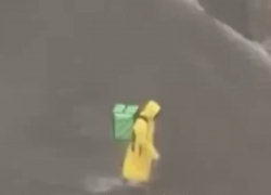 Бесстрашного доставщика заметили сегодня в Одессе — видео