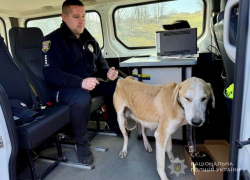 В Одесской области пенсионер расстрелял собаку с щенятами