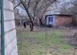 В Одесской области сотрудники ТЦК мобилизовали гуся