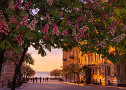 Новости Одессы: расстрел полицейских, исчезновение мужчин и новый блэкаут