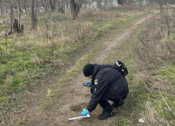 В Измаиле школьница убила и сожгла подругу за кражу алкоголя из дома