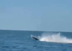 Румыния уничтожила украинский морской дрон Sea Baby в Черном море