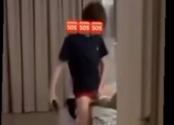 В Одессе подросток изнасиловал кота, снимая на видео — кот не выжил