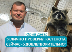 Одесский бизнесмен обвинил своего коллегу в краже кала депрессивного енота