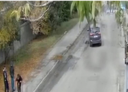 В Одессе водитель специально сбил собаку насмерть при детях