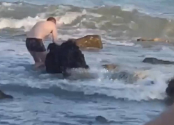 В Одессе мужчина хотел украсть мину, выброшенную на берег во время шторма