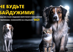 Житель Одесского района выстрелил в чужую собаку и увез раненое животное на окраину села