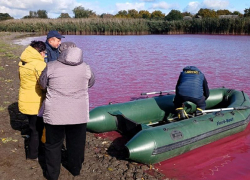 В Одесской области нашли кровавый пруд