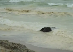 Одесский эколог рассказал, что на самом деле произошло с Черным морем после разлива масла