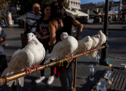 В Одессе на Дерибасовской провели рейд по владельцам развлекающих животных