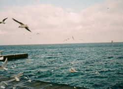 Эксперт Иванников: после ударов по Одессе пираты и эксперты НАТО пошли ко дну