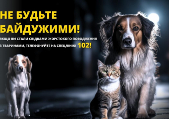 Житель Одесского района выстрелил в чужую собаку и увез раненое животное на окраину села