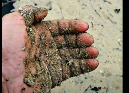 Одесское побережье покрылось масляными пятнами после шторма