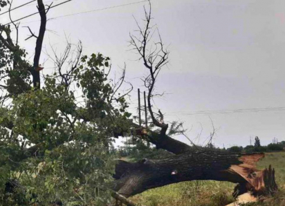 В Одесской области из-за сильного ветра начались отключения света