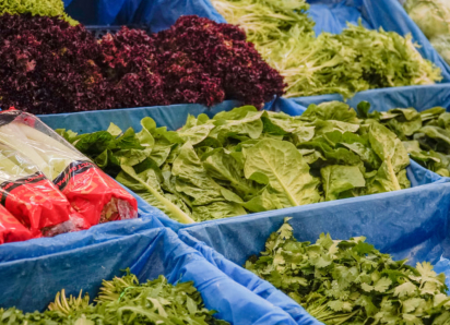 Цены на зелень в Одессе поползли вверх вслед за градусником