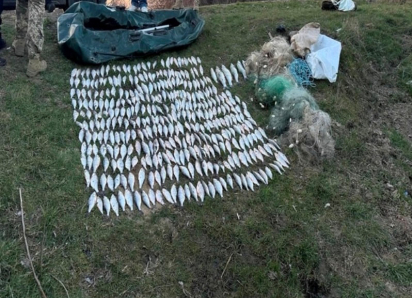 В Одесской области браконьер выловил рыбу на более чем полмиллиона