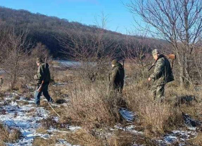 Охоту на лис и шакалов в Одесской области провели с нарушениями