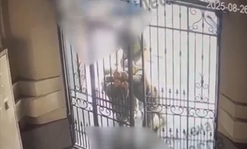 В Одессе военкомы упустили призывника, не справившись с воротами - видео