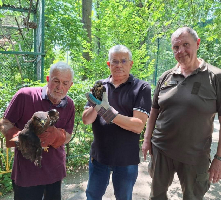 Травмированную птицу из ресторана передали на реабилитацию в Одесский зоопарк
