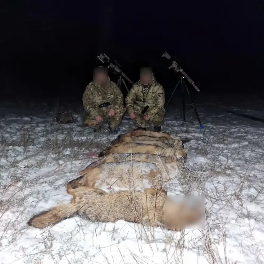 Под Одессой отстрел хищников обернулся уголовным делом