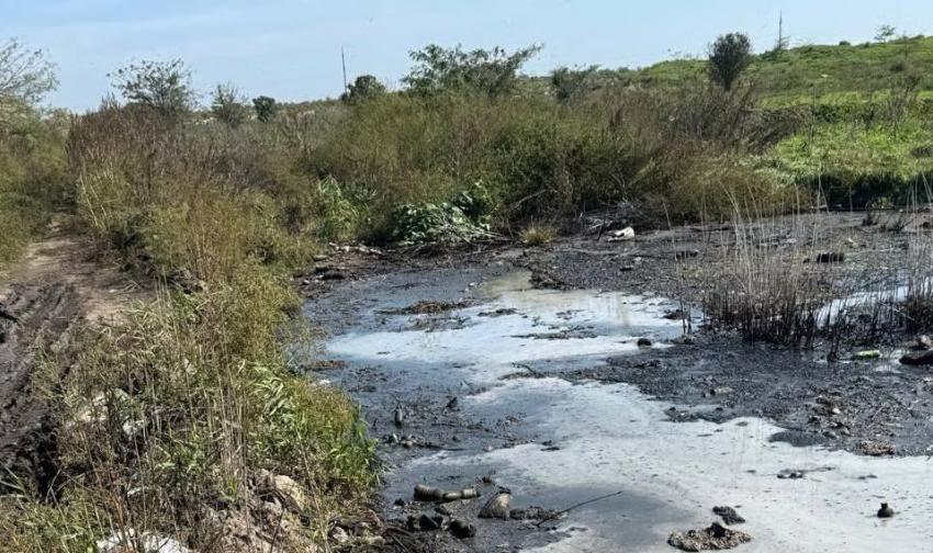 Депутата из Одесской области поймали на продаже токсичных отходов