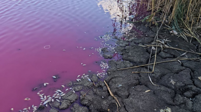 В Одесской области вода внезапно стала розовой
