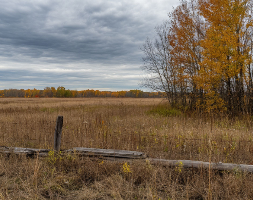 Бизнес на человеческих костях: в Одессе хотят застроить еврейское кладбище
