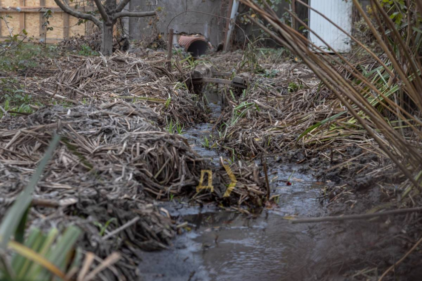 «Ждем трагедии»: жители осудили военного мэра Одессы за мусор в ливневках