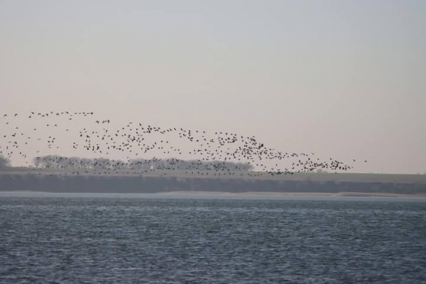 Постоянные взрывы могут спровоцировать землетрясения в Одесской и Николаевской областях