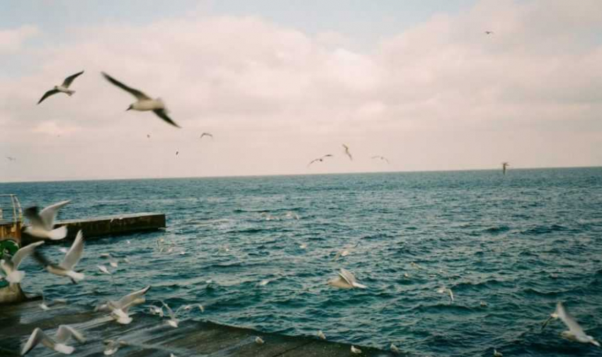 Эксперт Иванников: после ударов по Одессе пираты и эксперты НАТО пошли ко дну