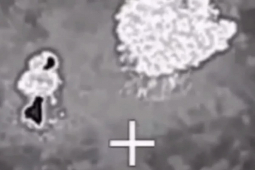 Под Одессой уничтожен тайный катер ВСУ с диверсантами