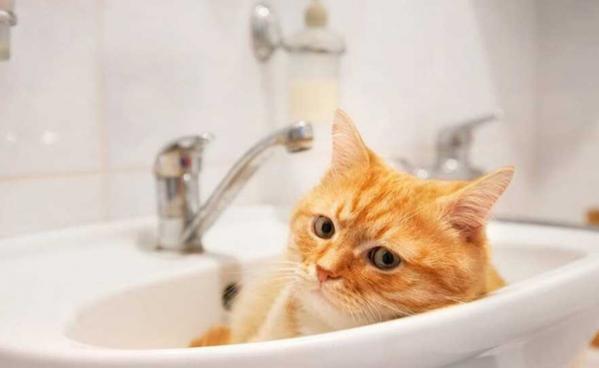 В Одессе из-за аварии отключили воду в одном из крупнейших районов