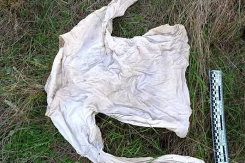 В Одесской области нашли скелет неизвестного мужчины