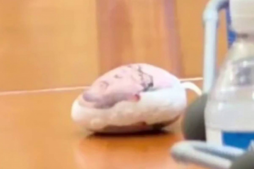 В Одессе депутаты гордумы играли вибратором с лицом экс-премьера Украины Яценюка