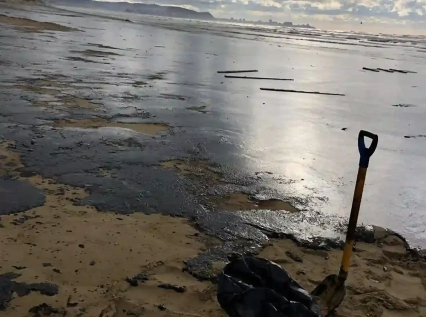 В Одессе запланировали обновить экопрограмму почти за 300 млн грн