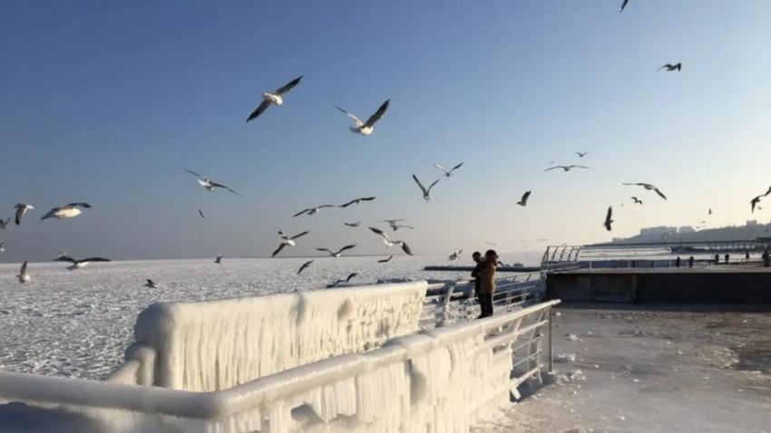 Гололедица, мокрый снег и сильный ветер: какой будет погода в Одессе 23 января