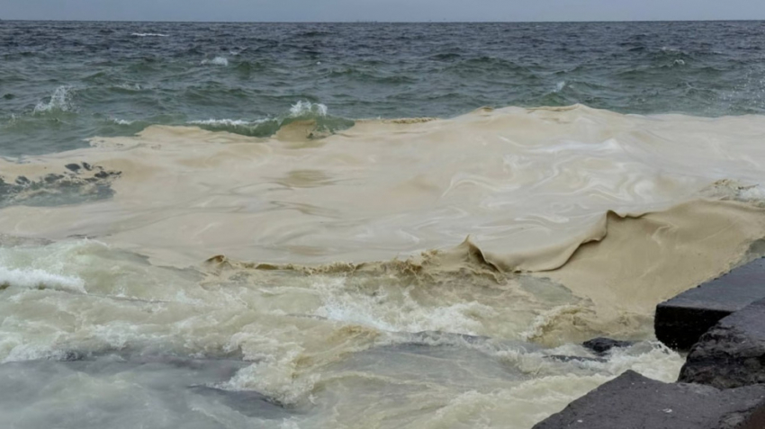 Пляжный сезон-2026 в Одессе могут отменить из-за разлива масла в море