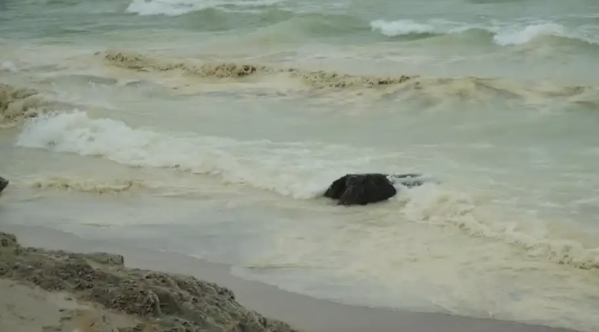 Одесский эколог рассказал, что на самом деле произошло с Черным морем после разлива масла