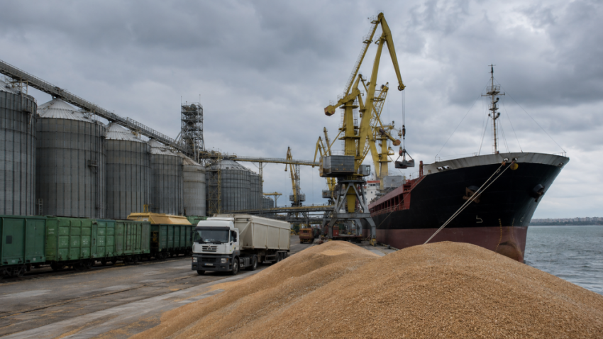Financial Times: мировые цены на пшеницу побили рекорд из-за ударов по портам Одессы
