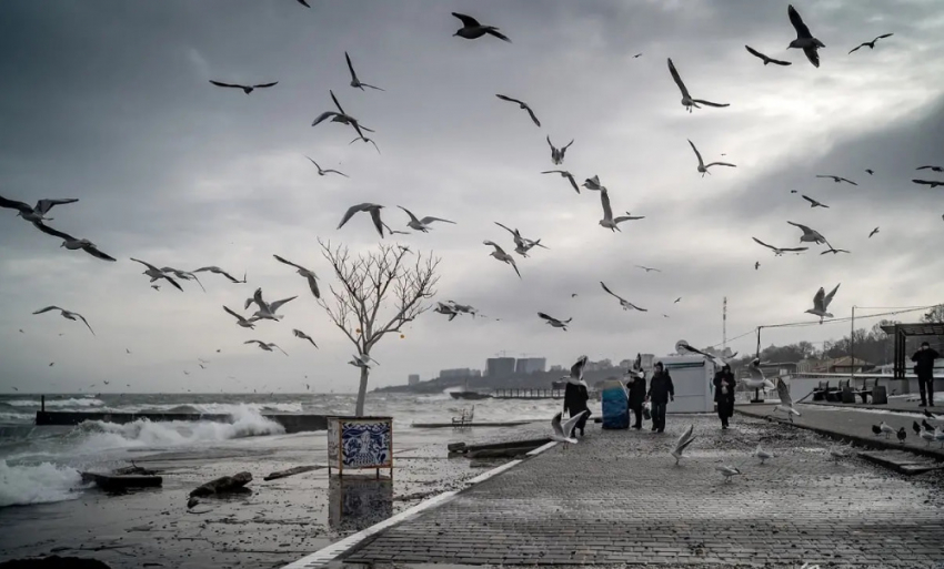 Синоптики предупредили о сложной погоде в Одессе