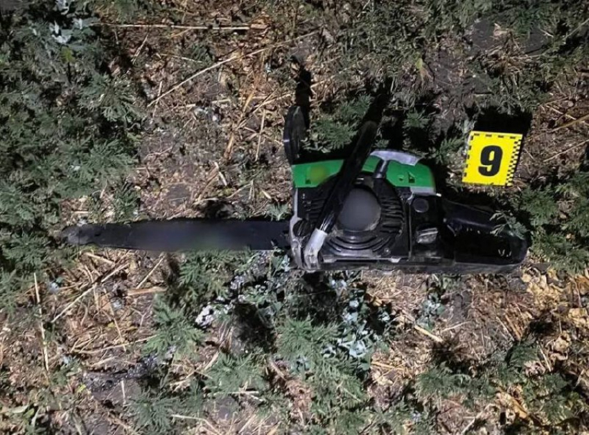 Одессита отправили под суд за пять срубленных деревьев