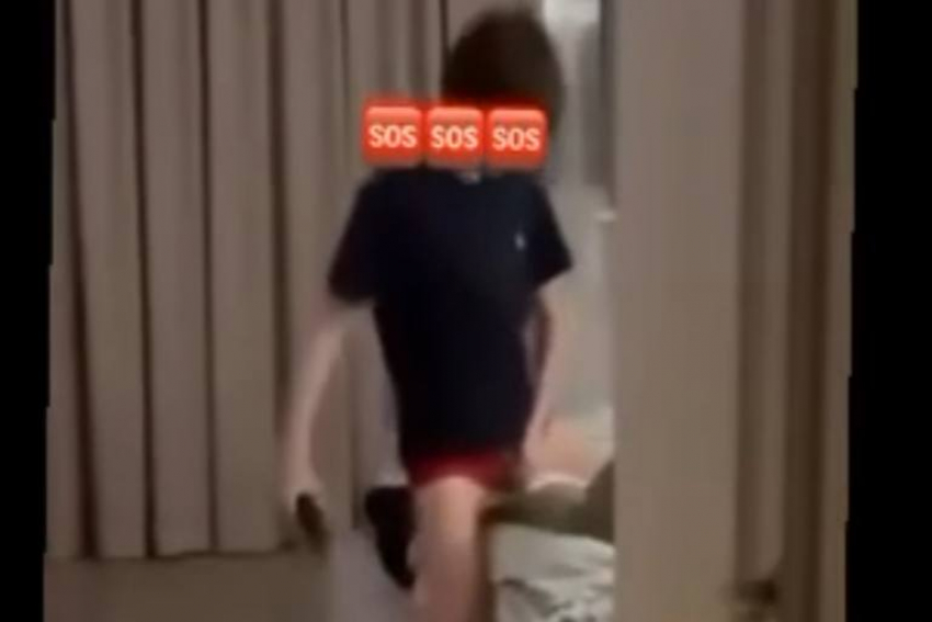 В Одессе подросток изнасиловал кота, снимая на видео — кот не выжил