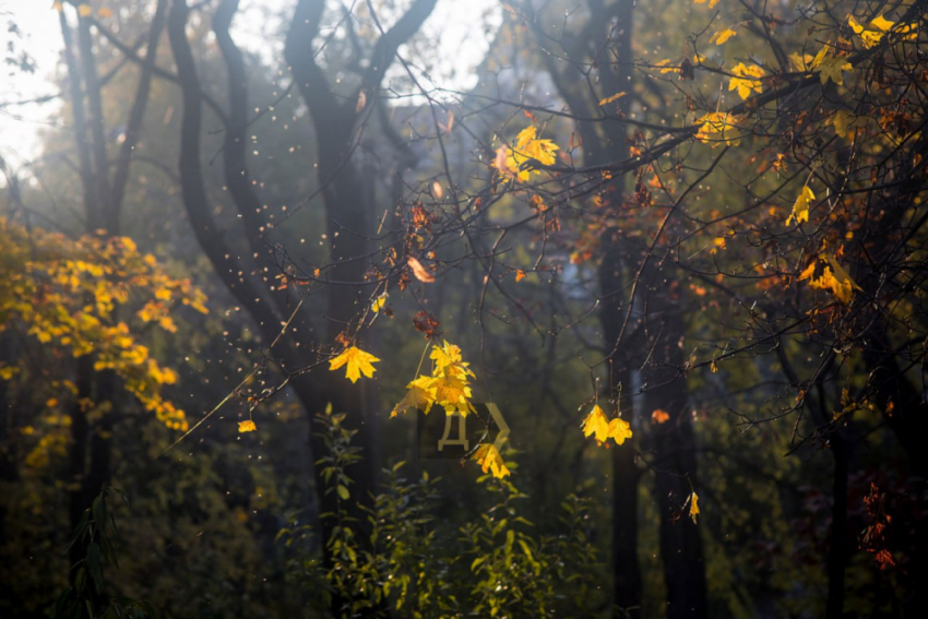 Одессу снова зальет мощными дождями