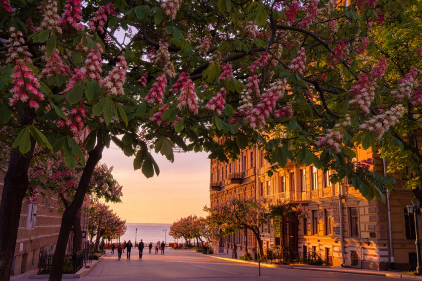 Новости Одессы: расстрел полицейских, исчезновение мужчин и новый блэкаут